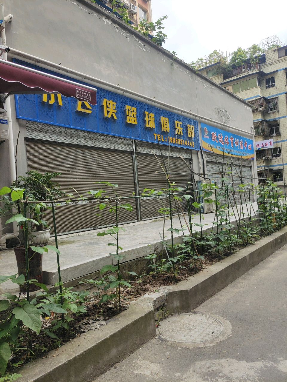 小飞侠篮球俱乐部(科比球馆)