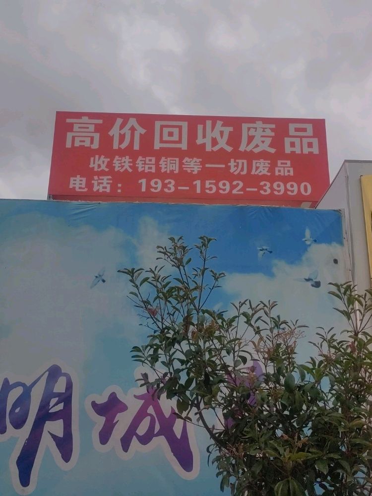 高价回收废品