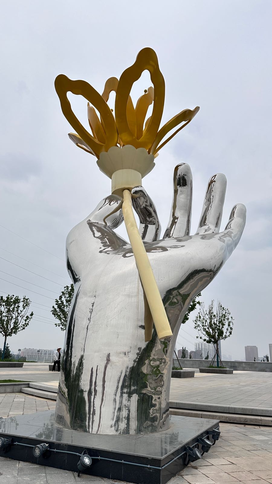 大同黄花公园