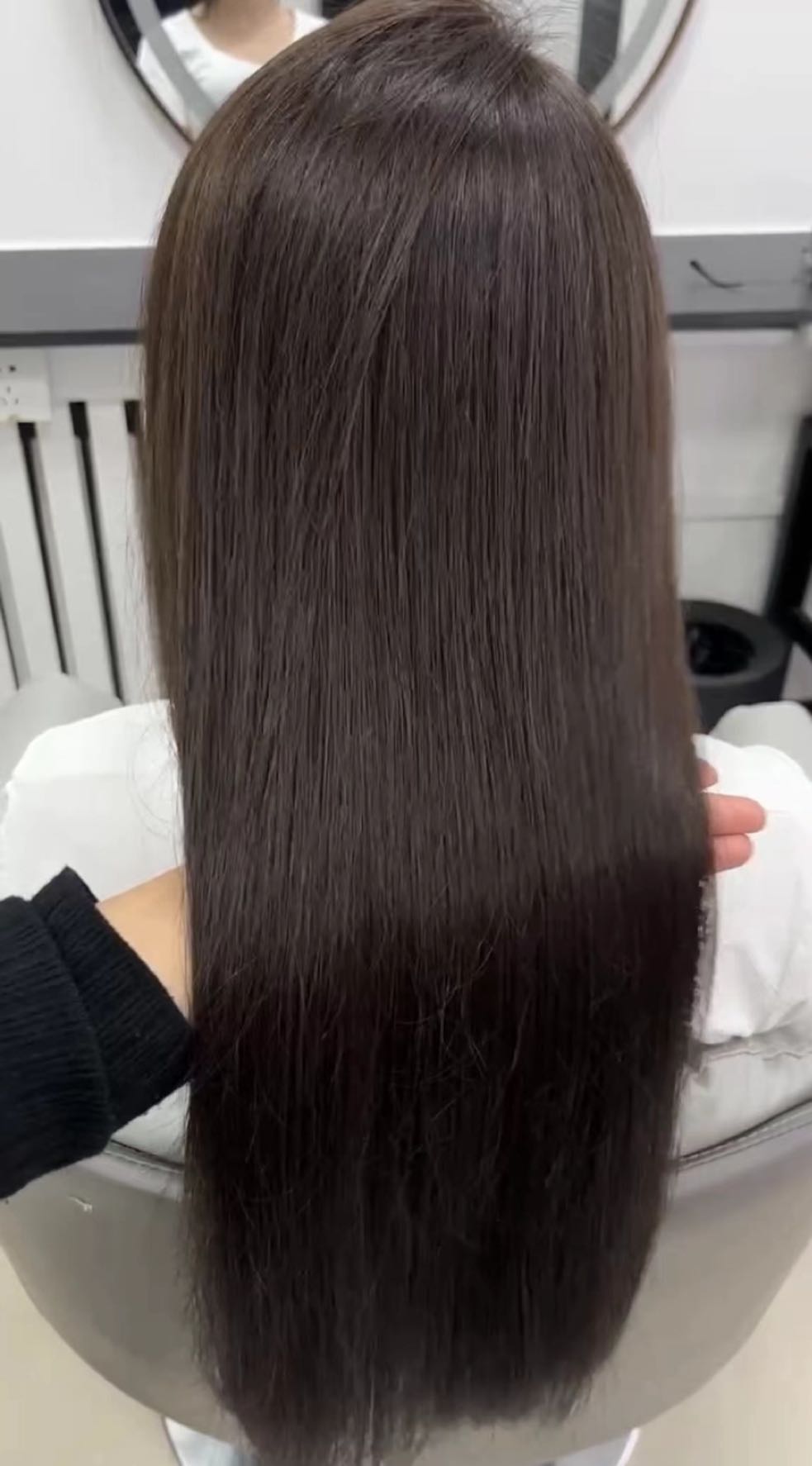 梧桐造型