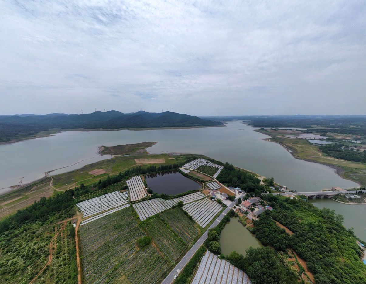 碧云湖蓝莓庄园