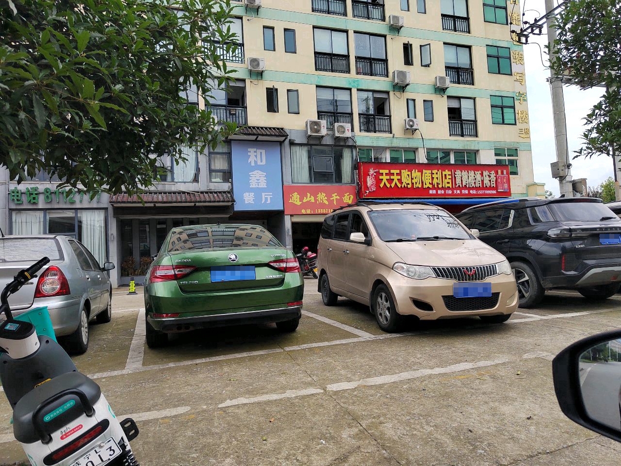天天表示