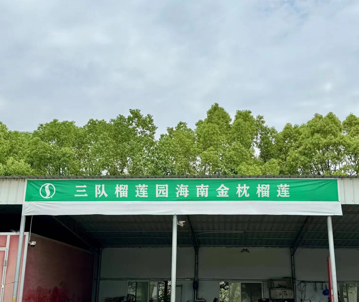 三队榴莲园