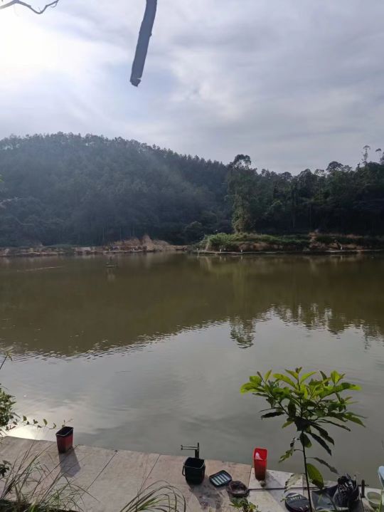 何伯田水库钓鱼场