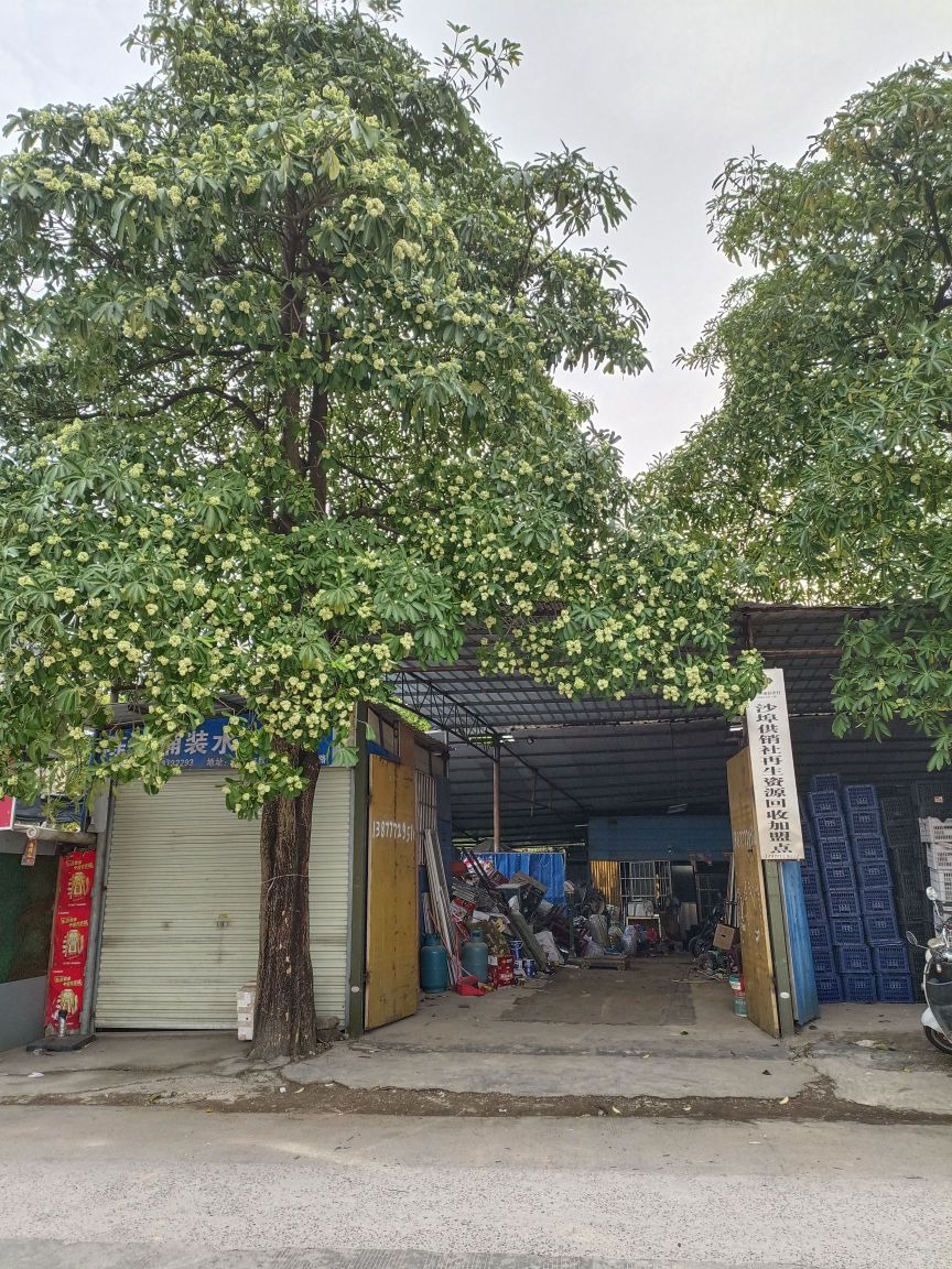 沙埠供销社再生资源回收加盟点