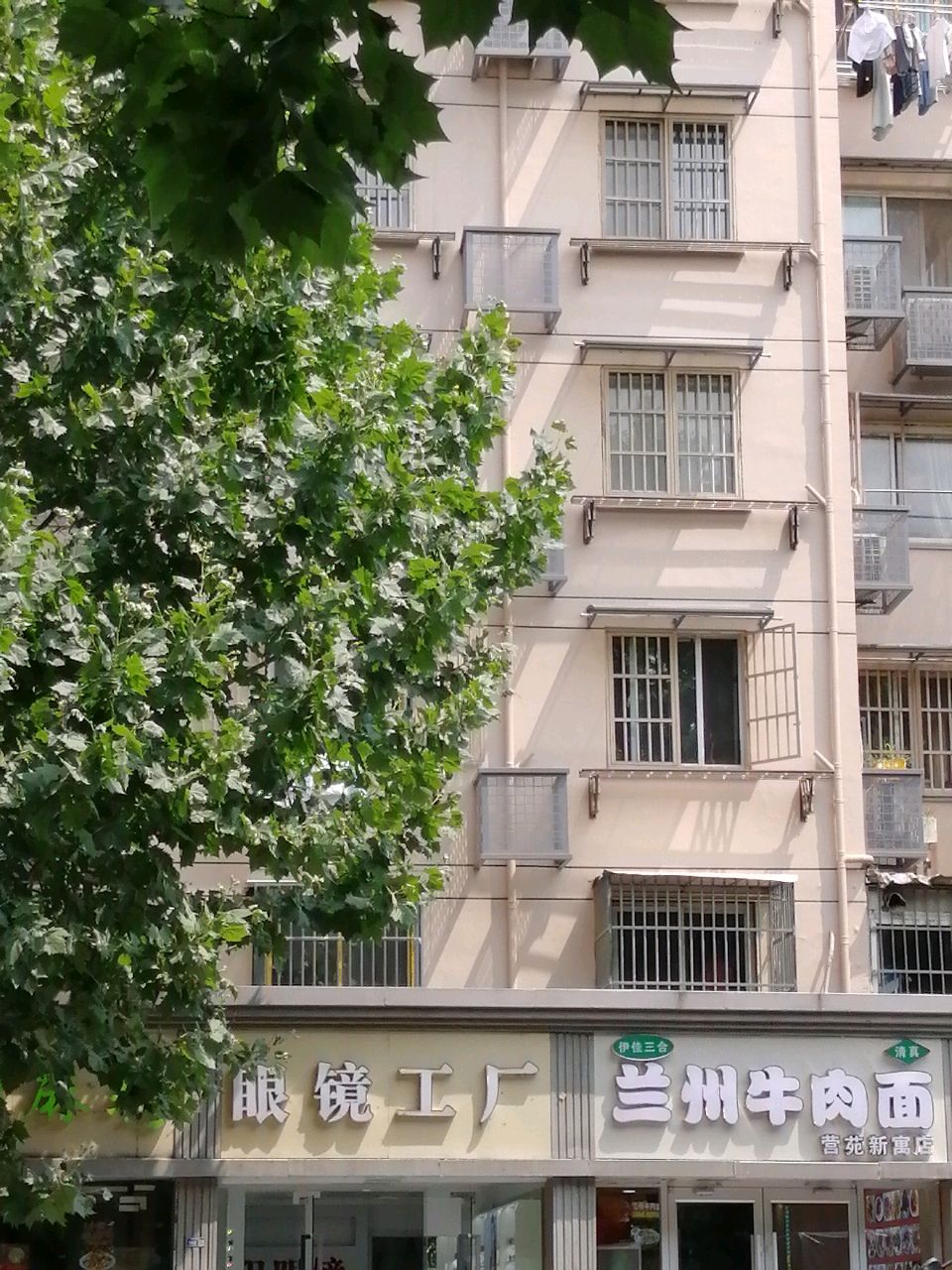 清真伊佳三合兰州牛肉面(营苑新寓店)