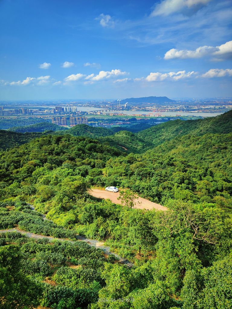 茶山森林生态园风景区