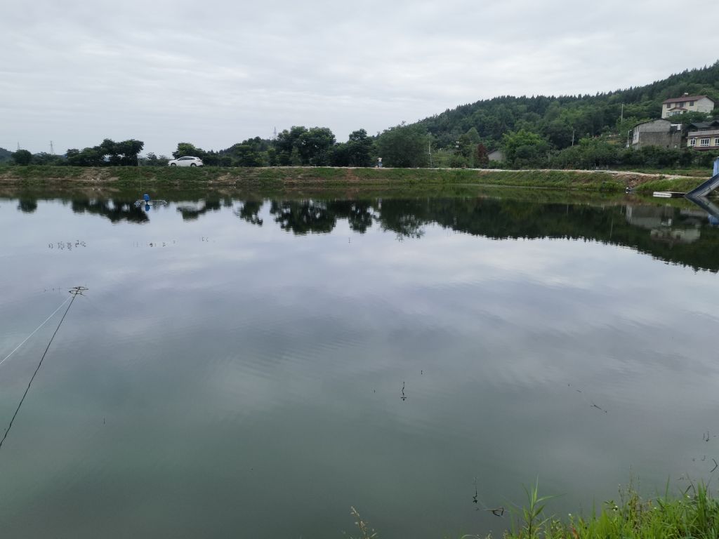 五星钓场