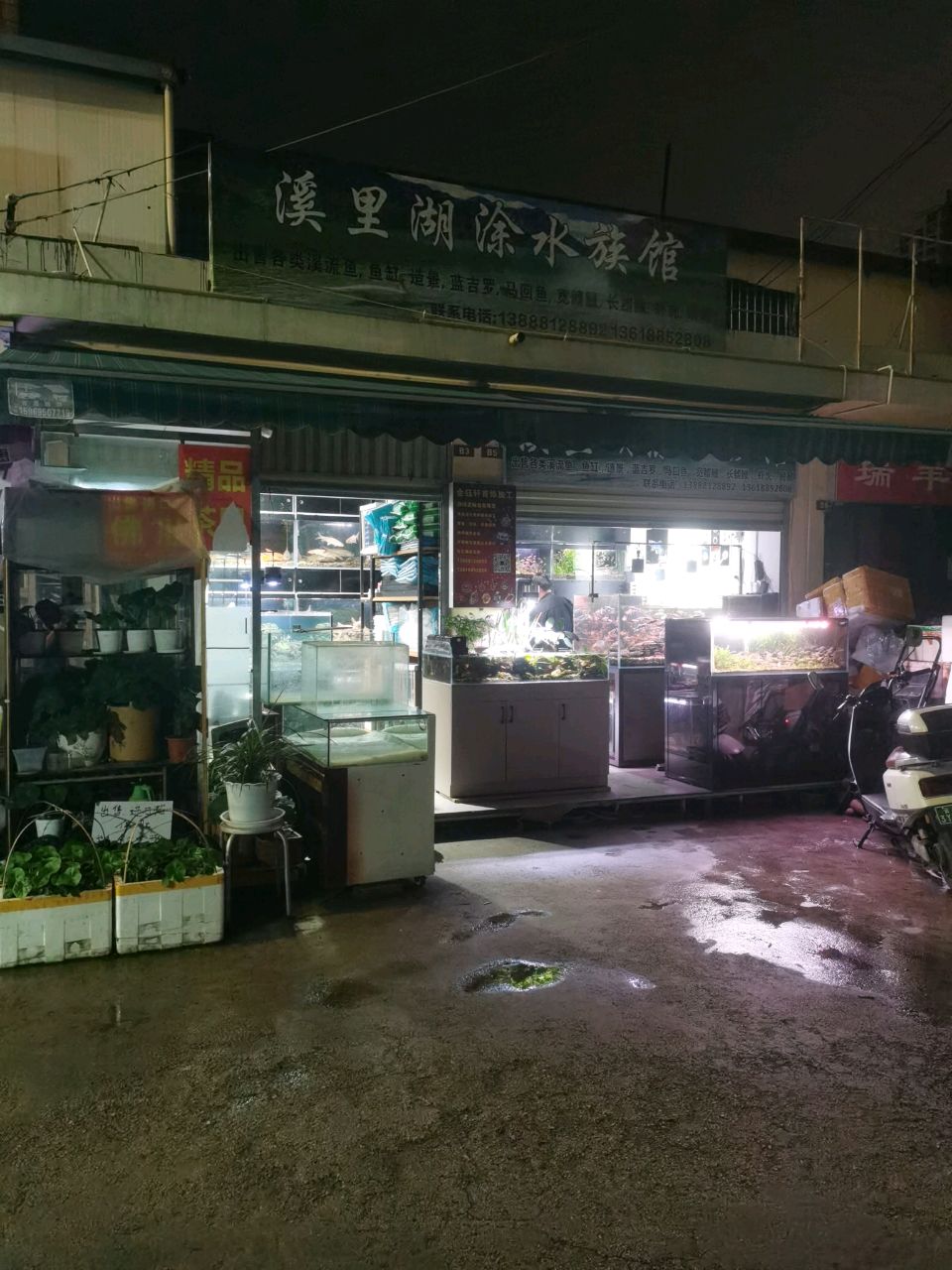 湖里蚁唠溪与涂水族馆