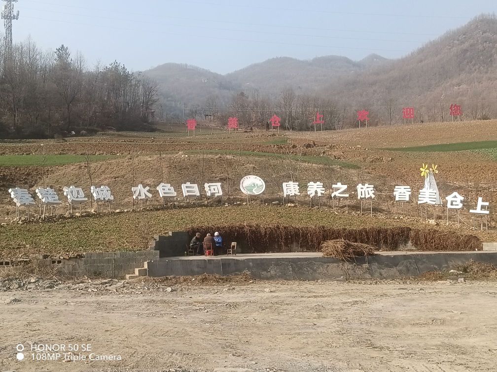 仓上镇