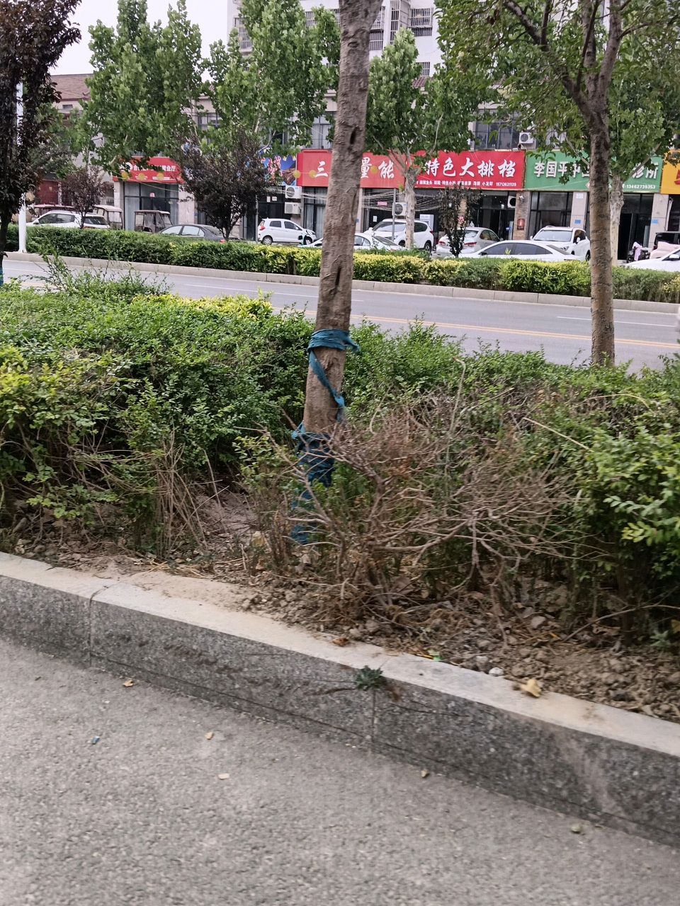 清真特色大排档