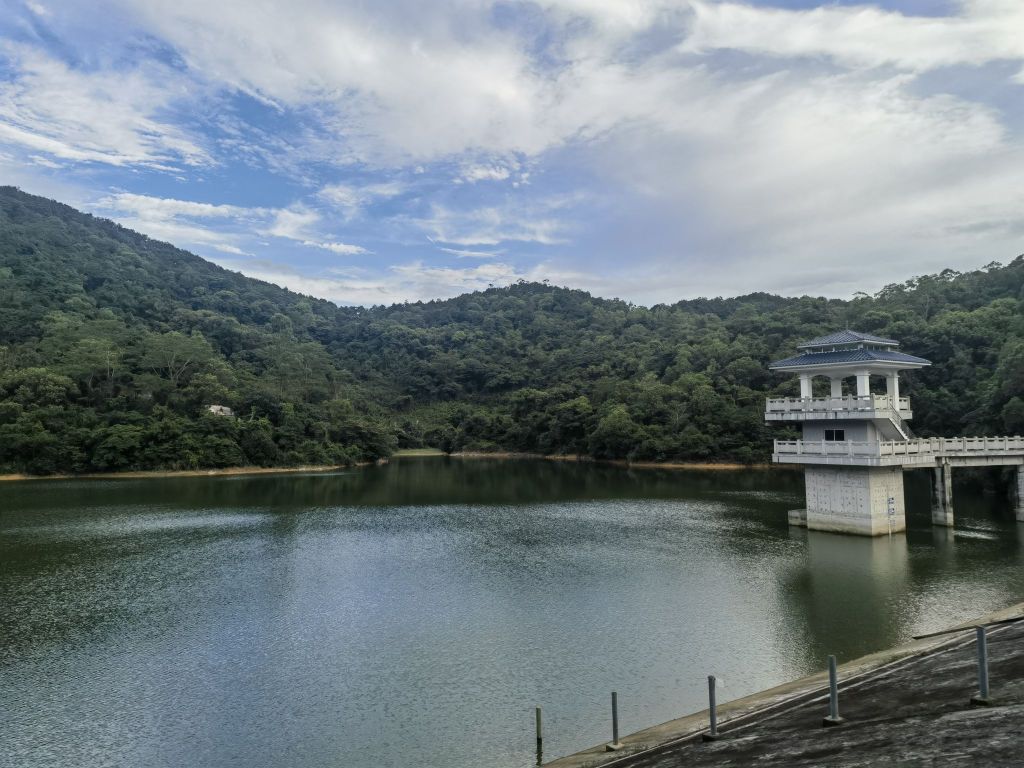 大岭山森林公园-茶园