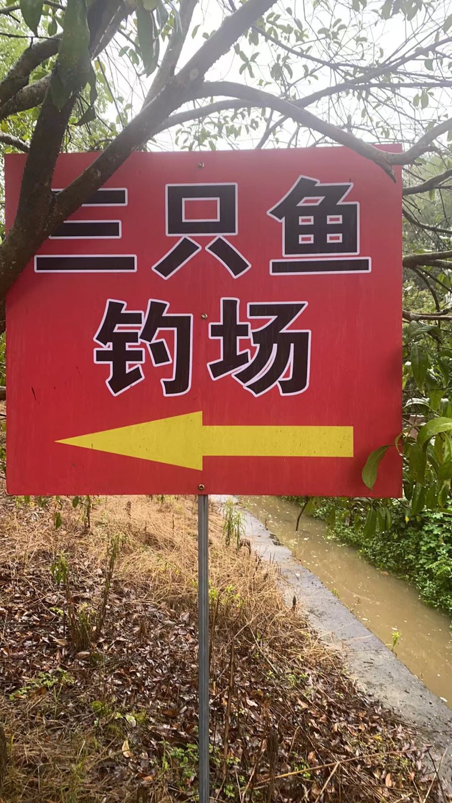 三只鱼钓场