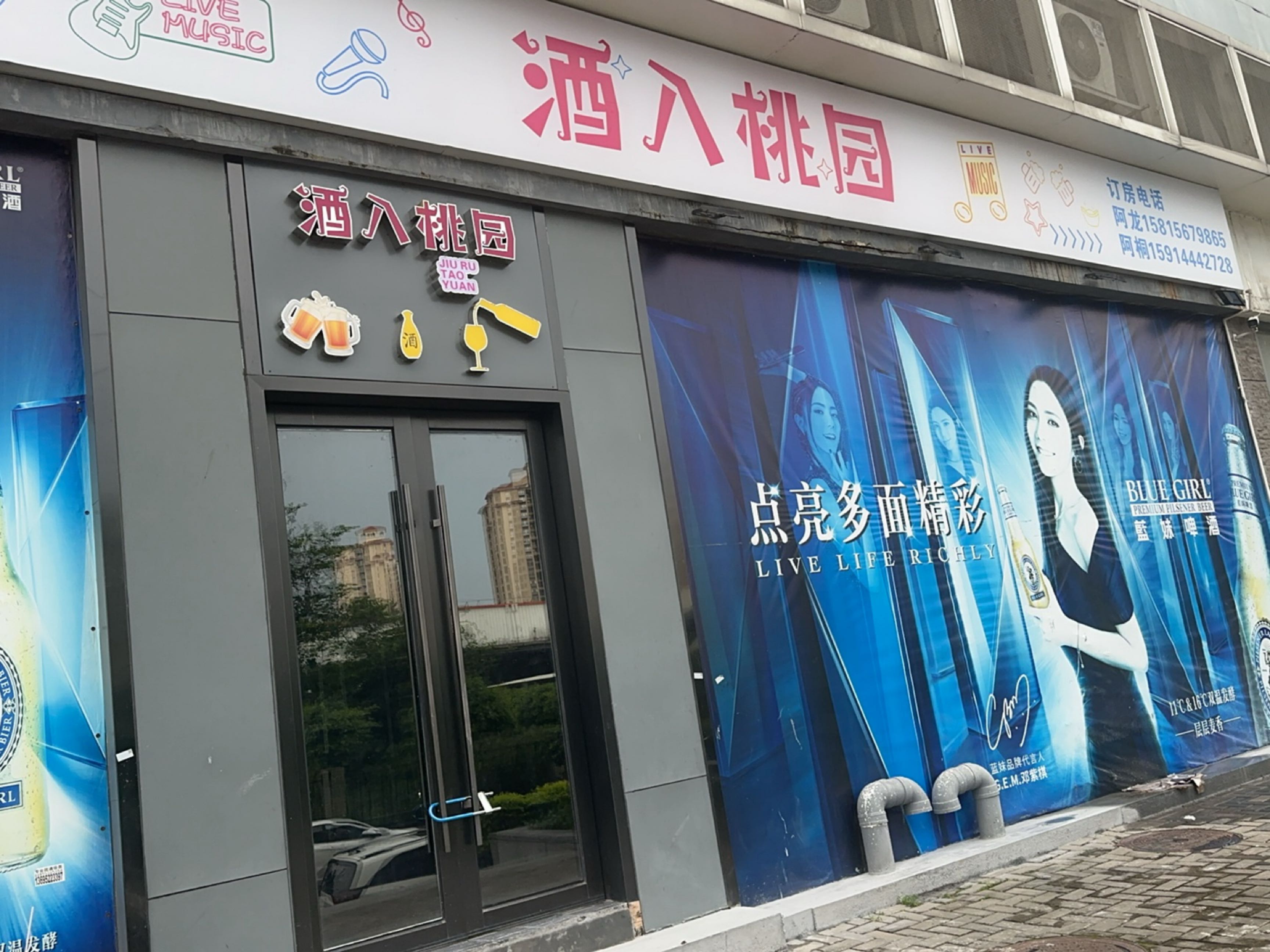 酒入桃园