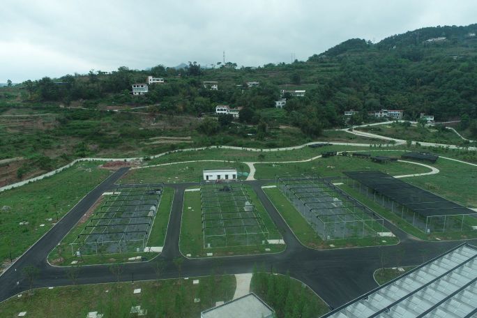 金沙江向溪珍稀植物园