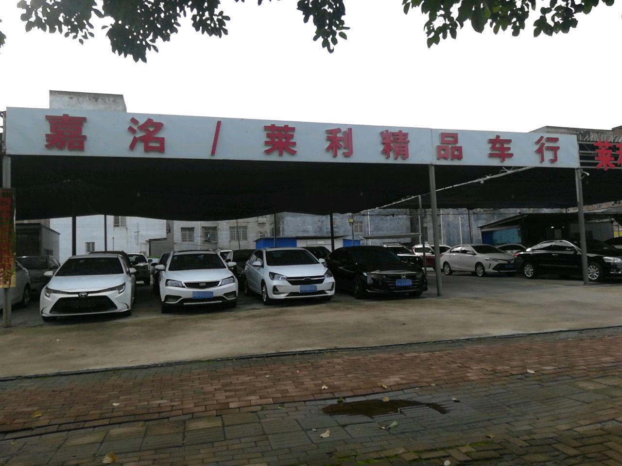 莱利精品车行