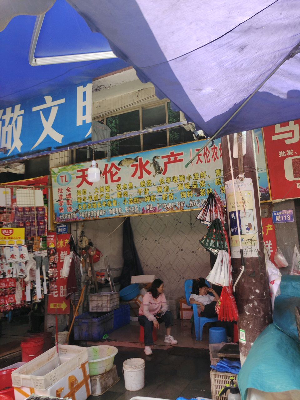天伦水产