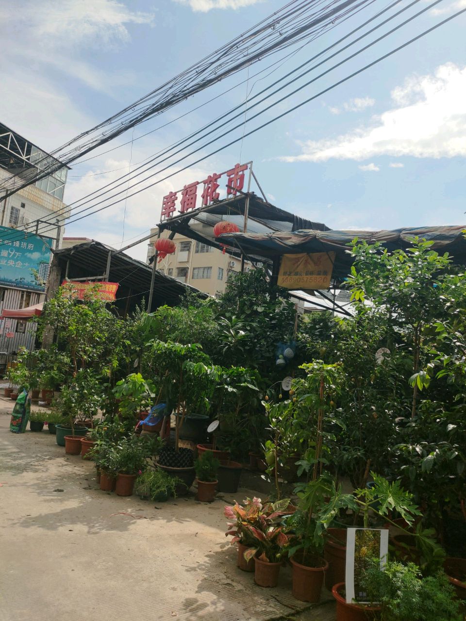幸福画艺坊(白马空中花园店)