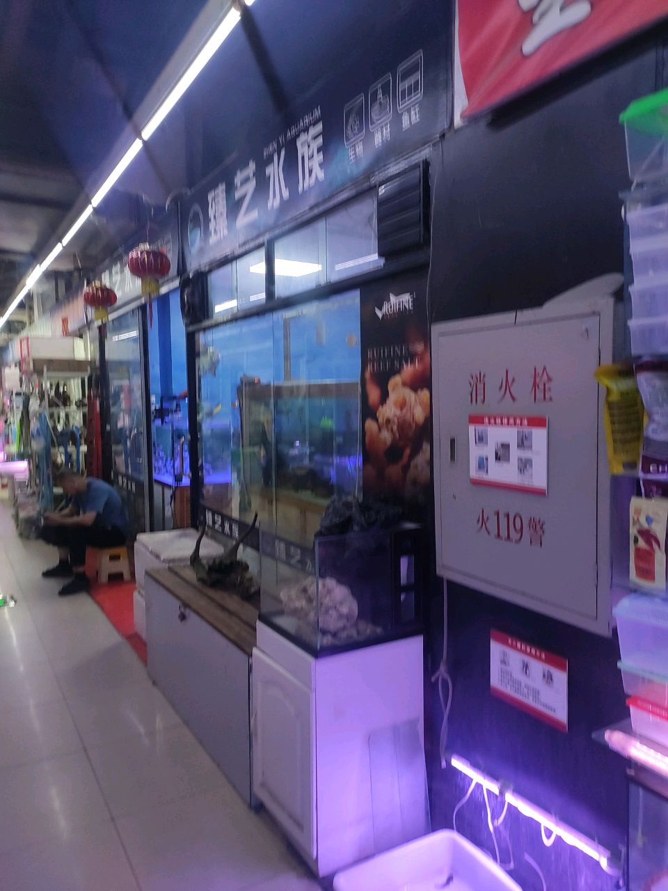 臻鱼水族