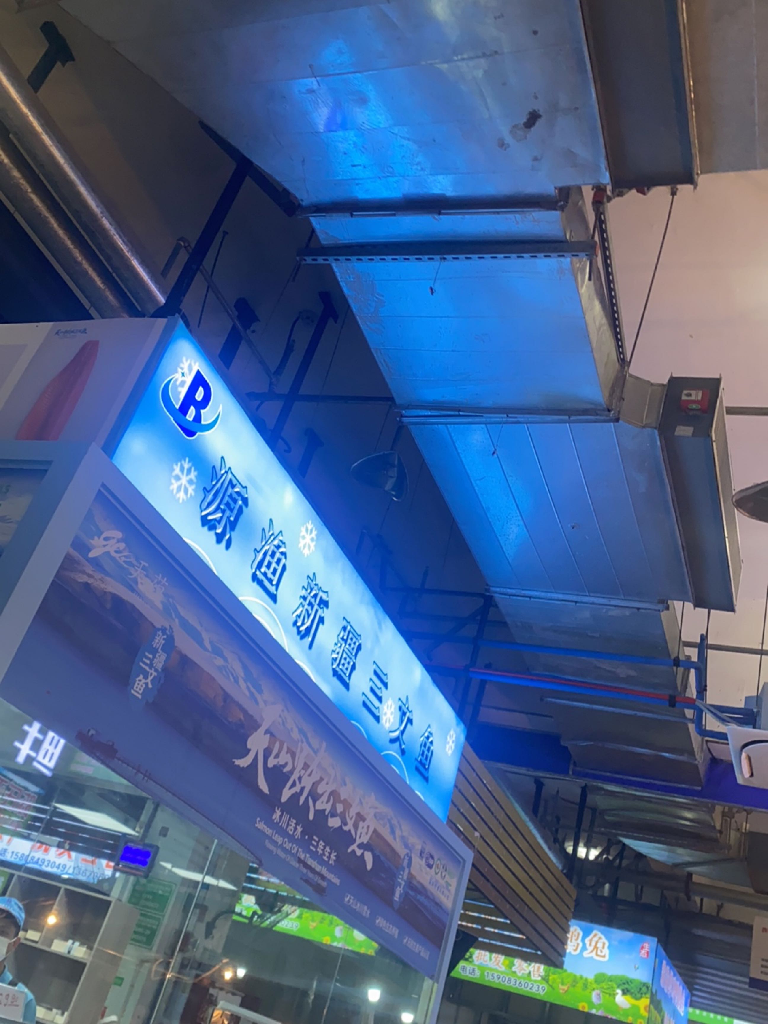 源渔新疆三文鱼