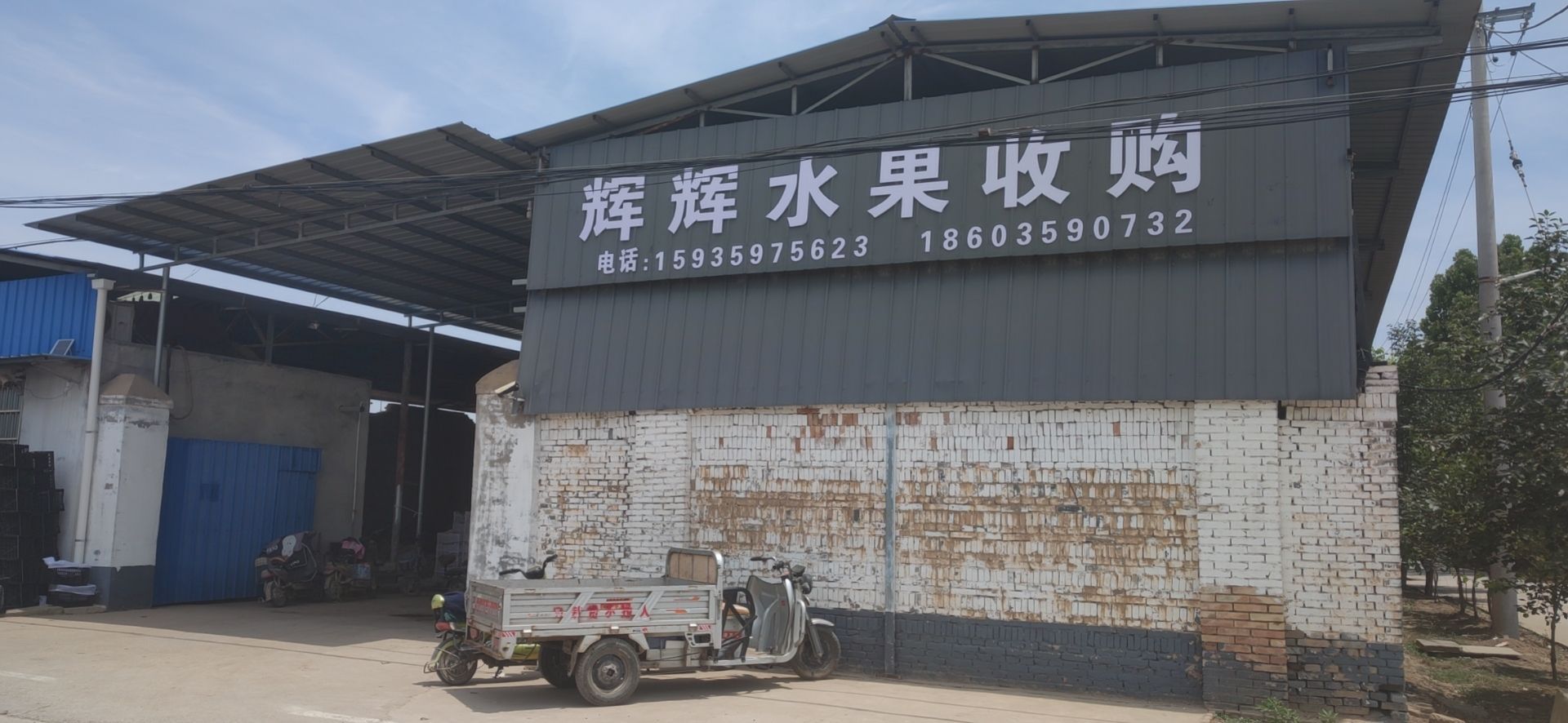 辉辉水果收购