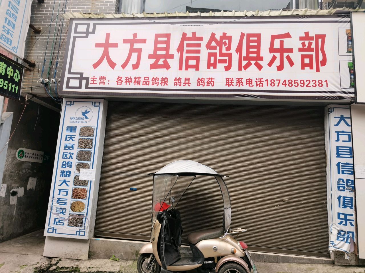 大方县信鸽俱乐部