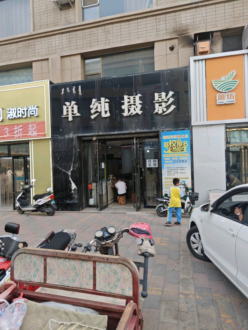 单纯舌蝇(乌斯太一分店)