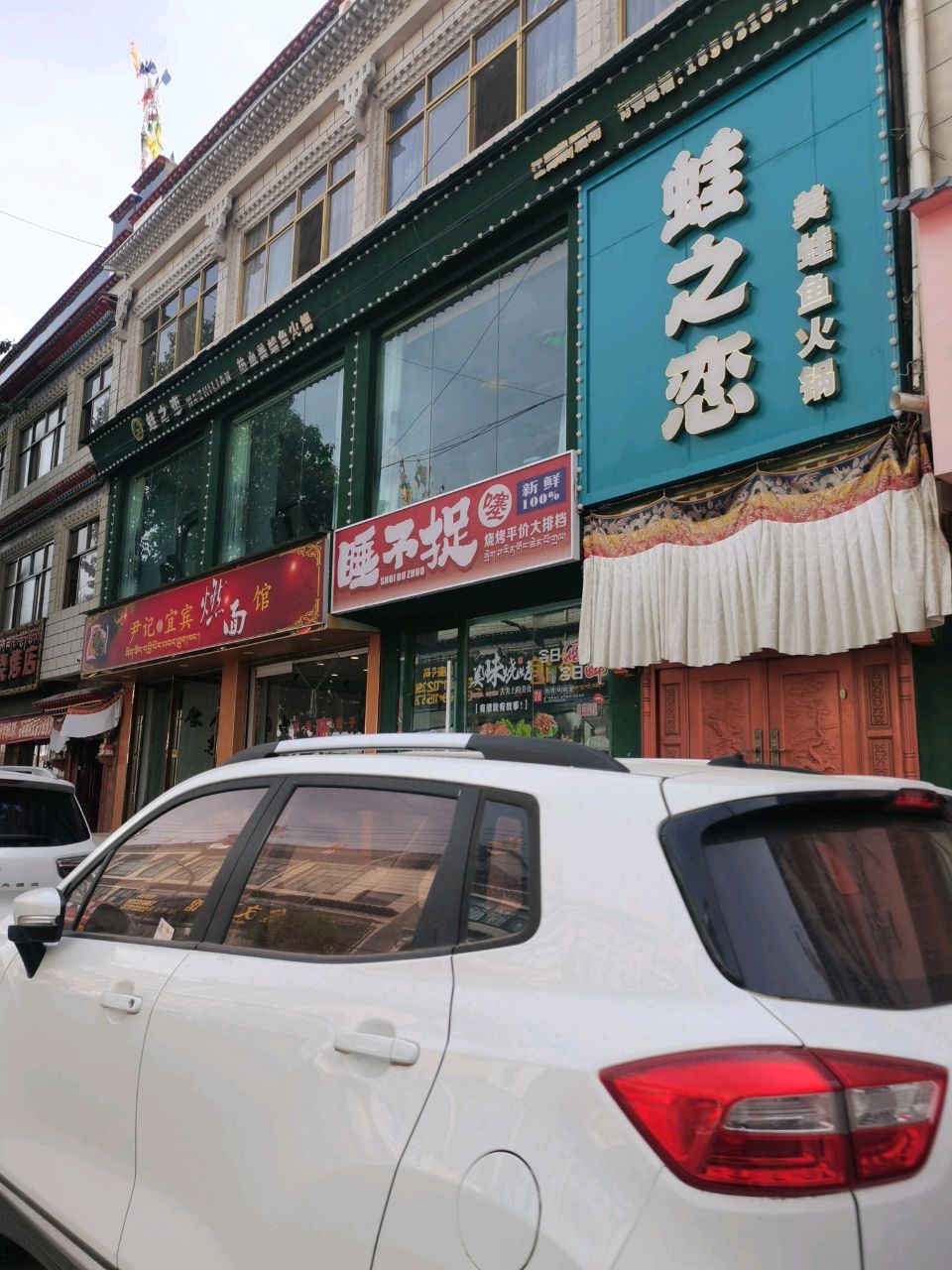 蛙之恋美蛙鱼头