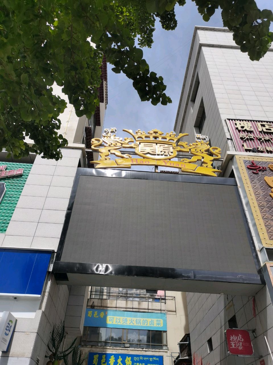 新昊原纯K