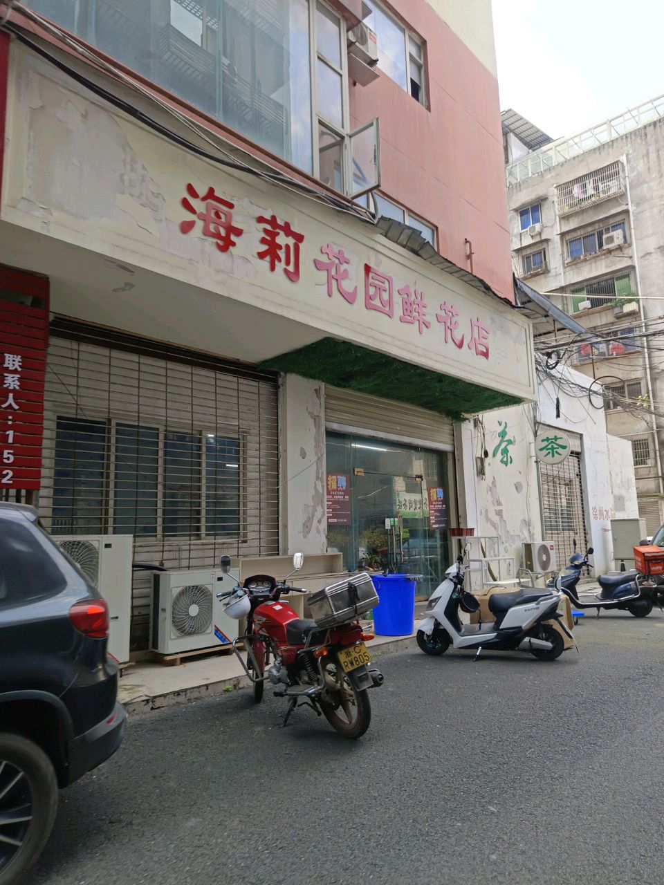 海莉花园鲜花店(遂宁店)