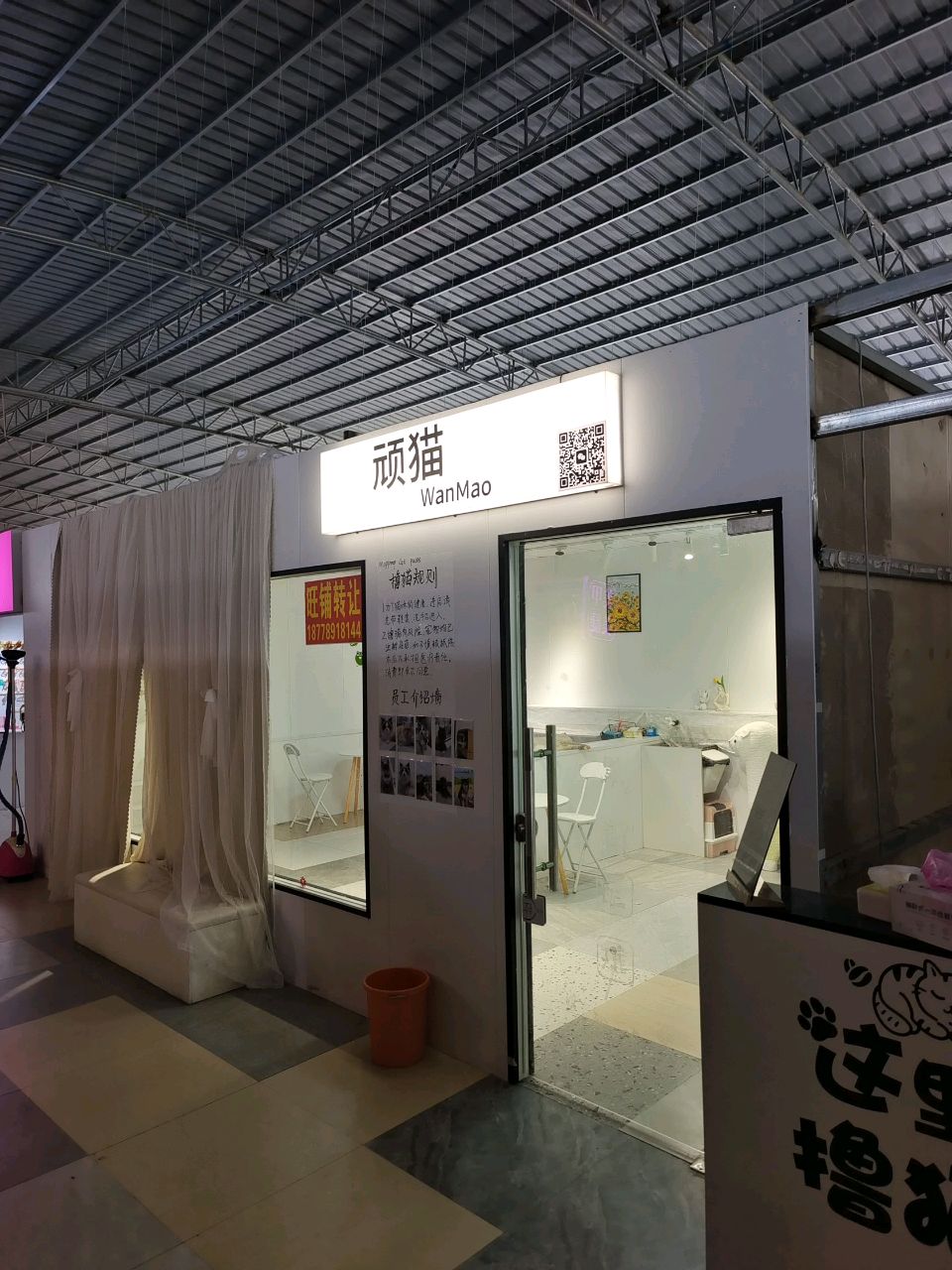 顽猫