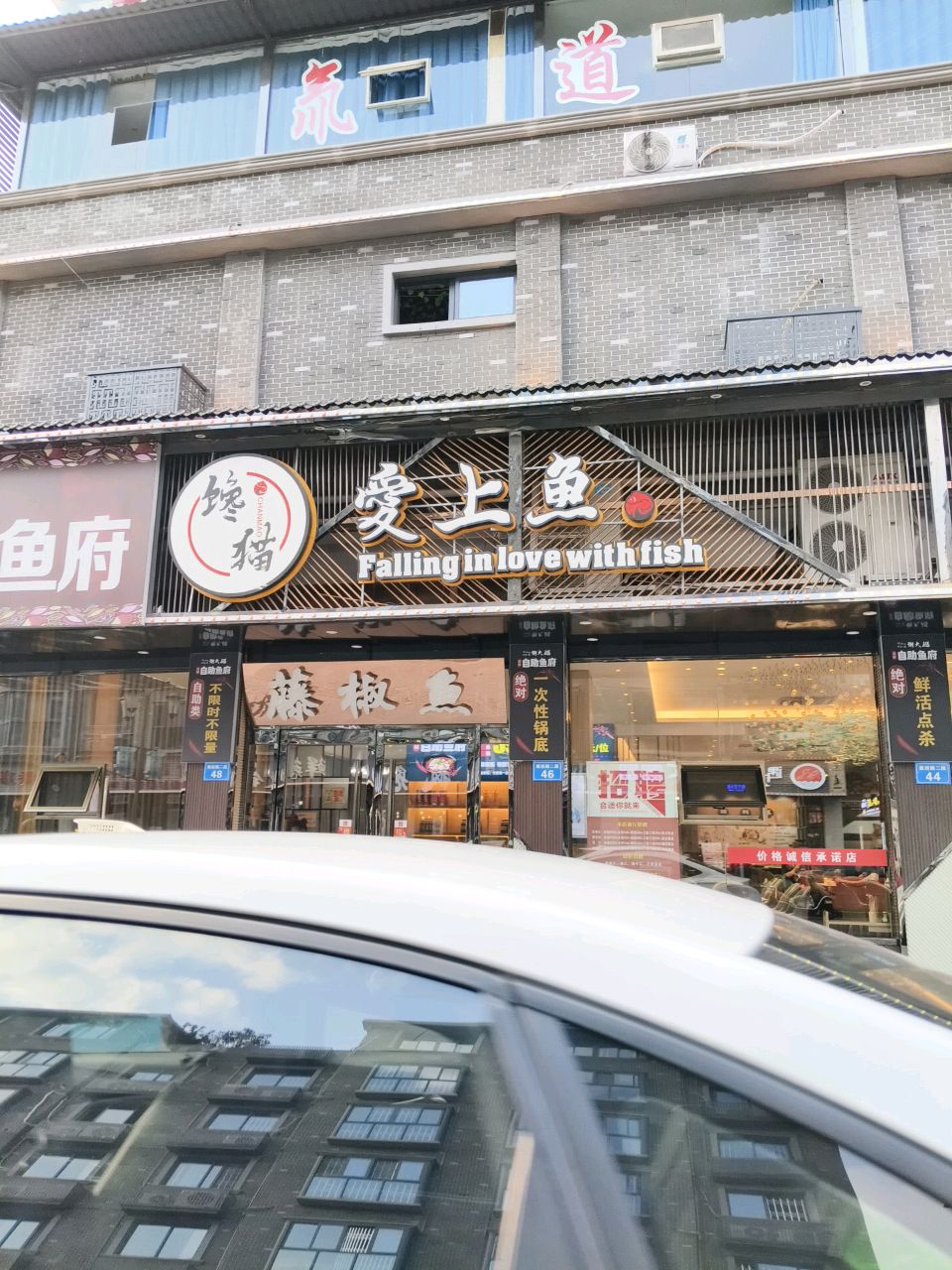 馋猫爱上鱼(紫府路店)