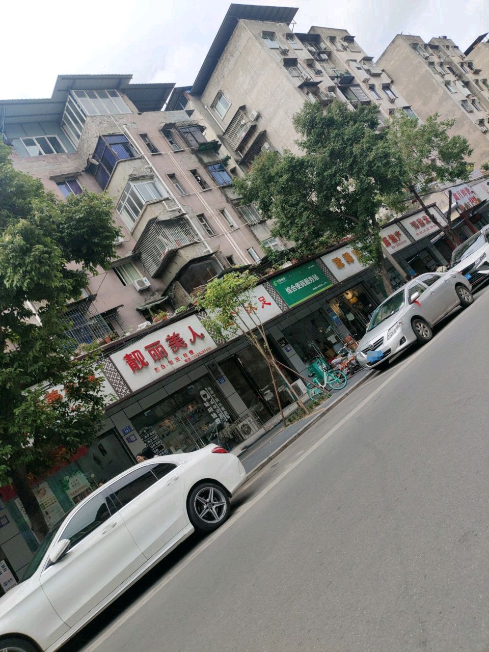 靓丽美人