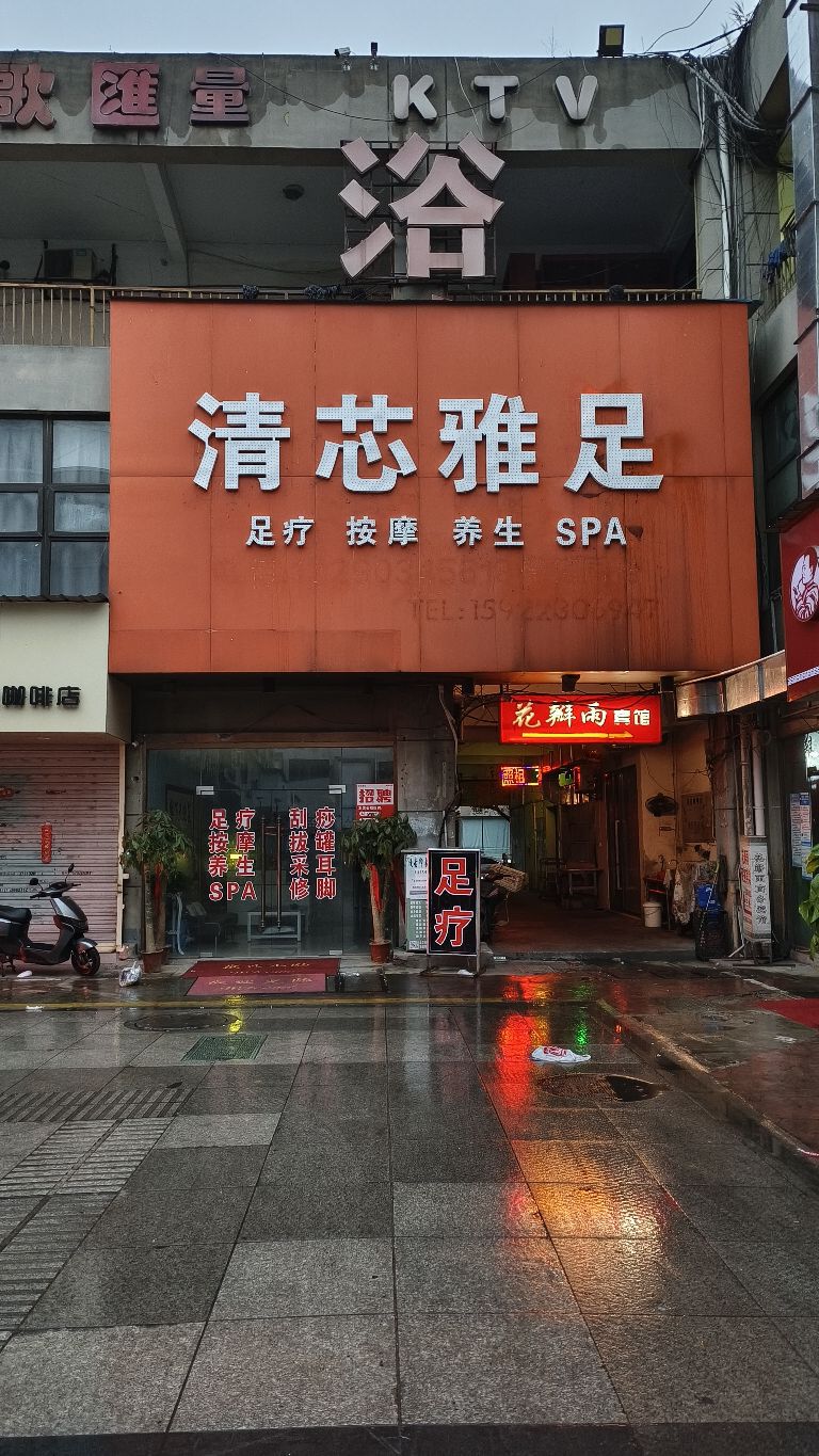 清芯铭雅足