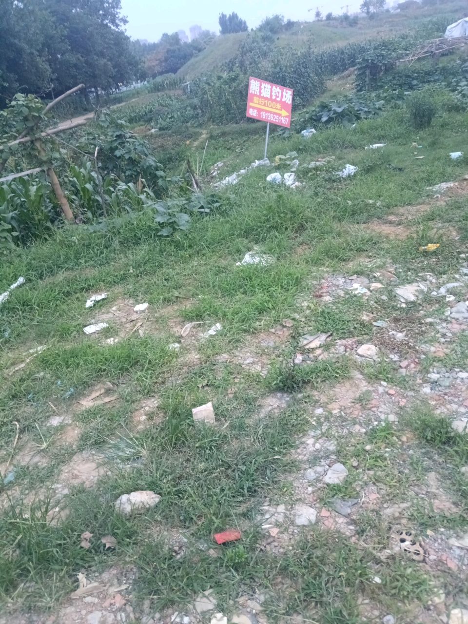 熊猫钓场