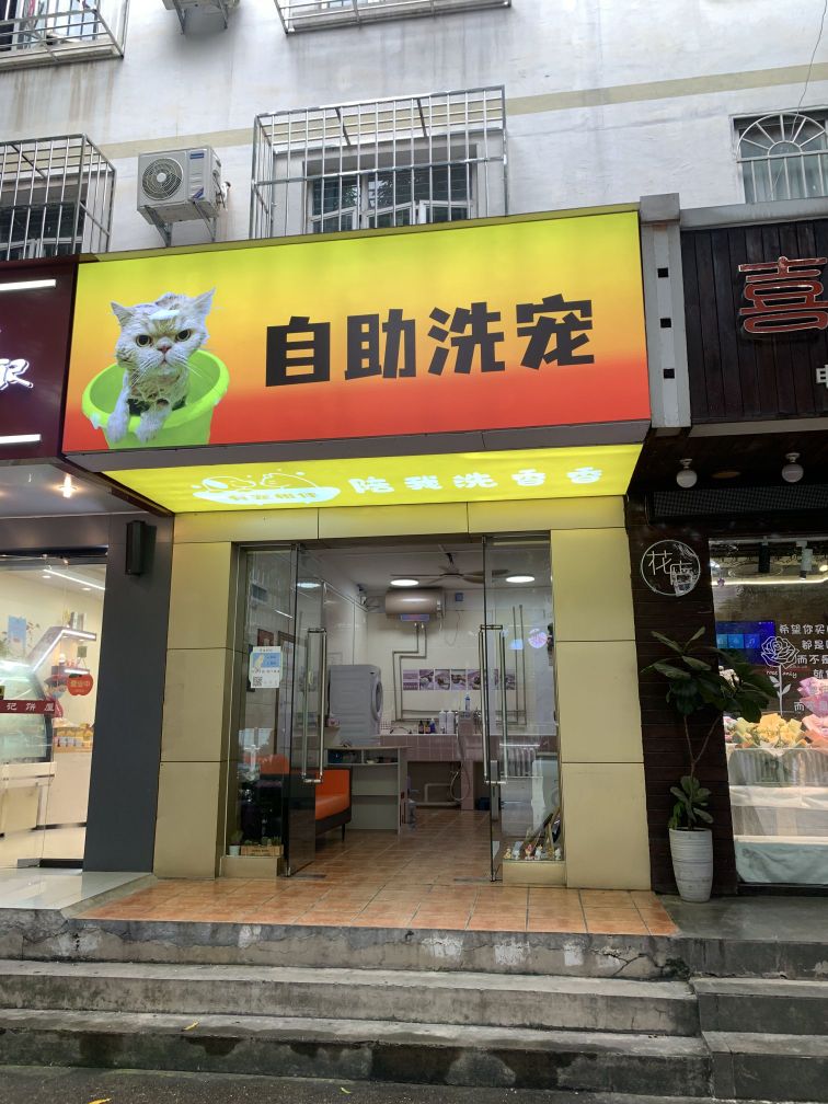 自助洗宠