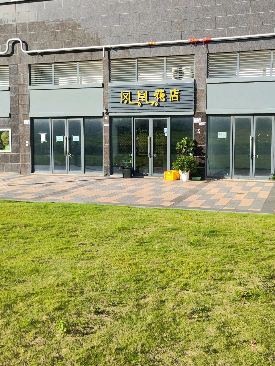 凤凰花店