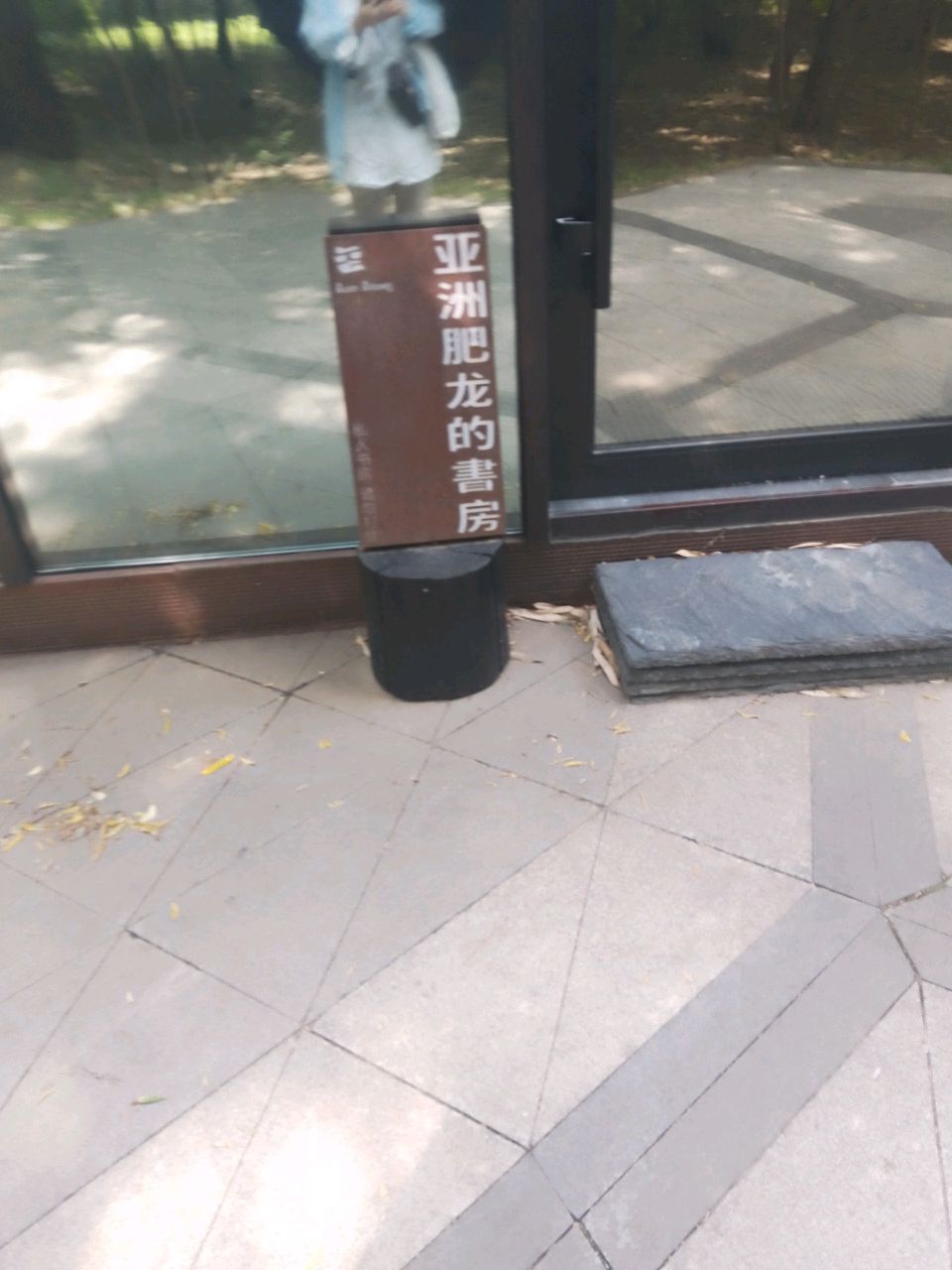 亚洲肥龙的书房