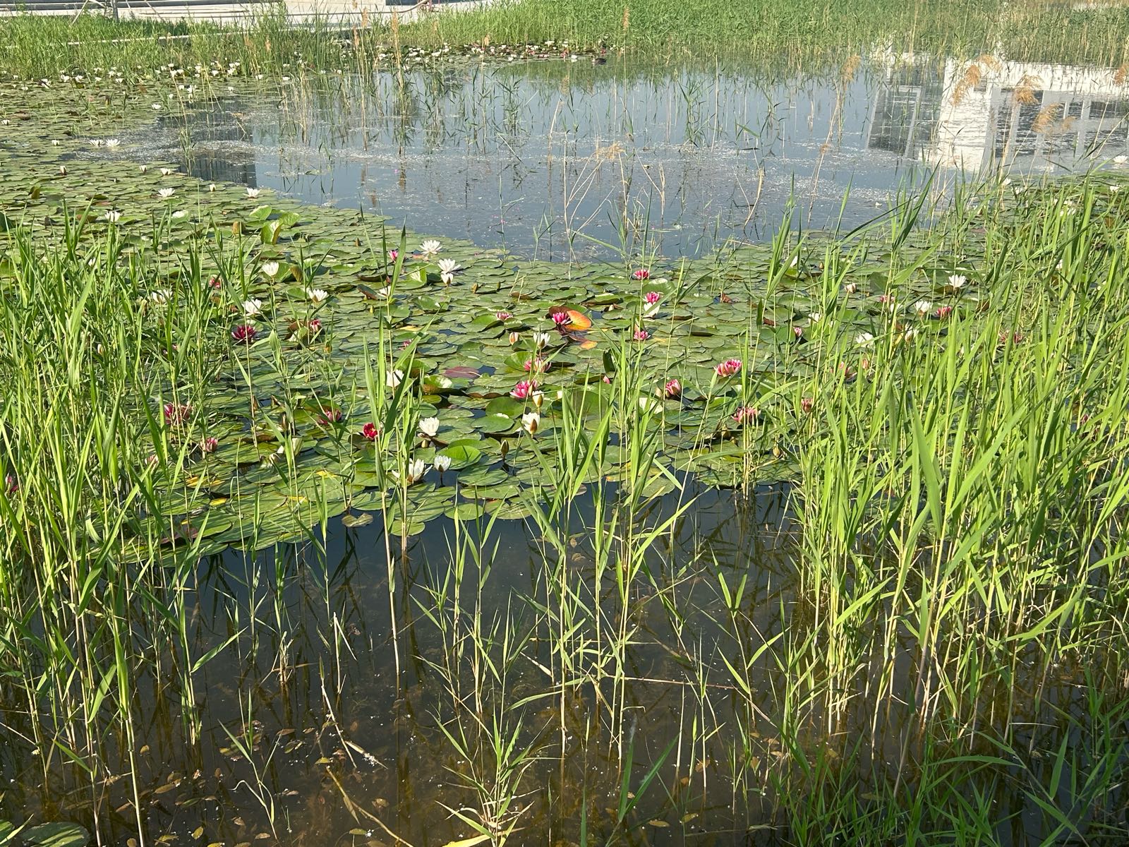 衡水职业技术学院