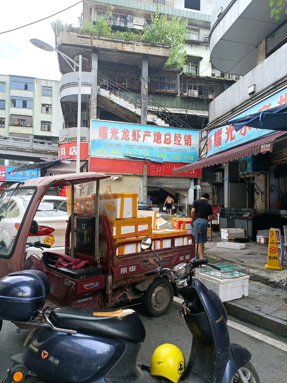 耀光龙虾产地总经销