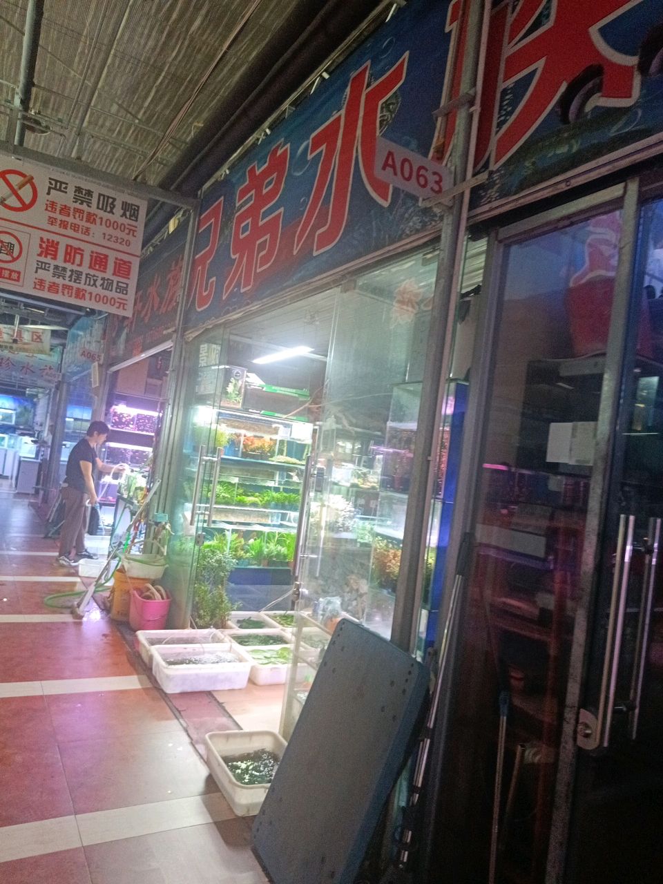 兄弟水族(北苑东路店)