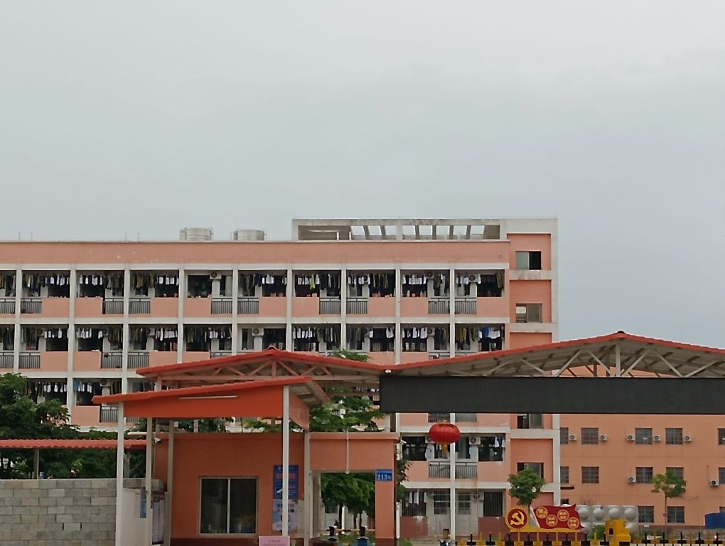 田东县滨江学校