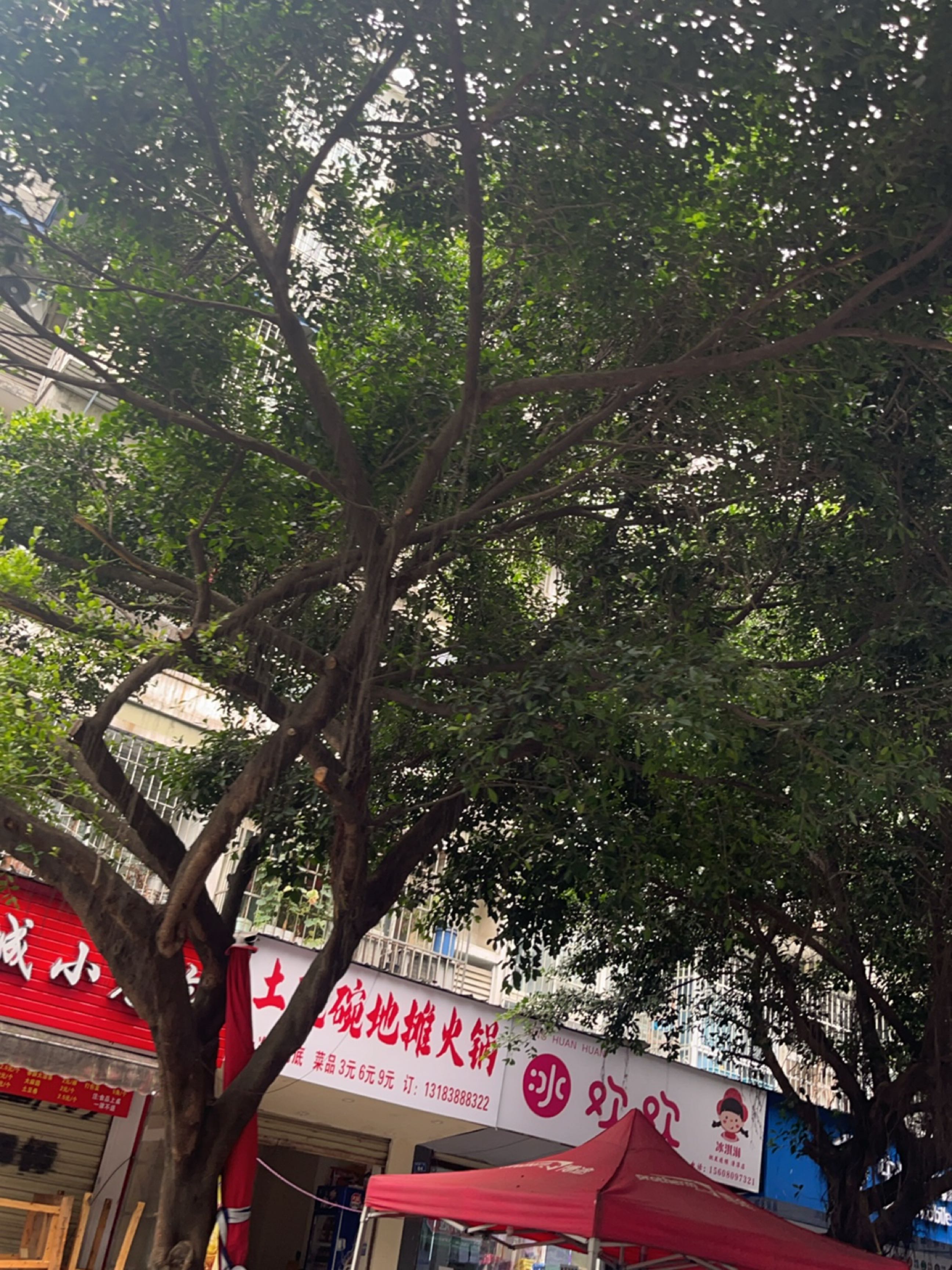 冰欢欢(清淳家园店)