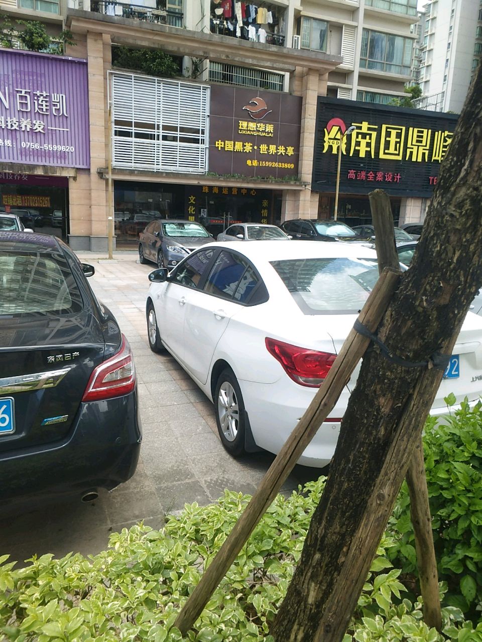 中国黑茶·理想华莱