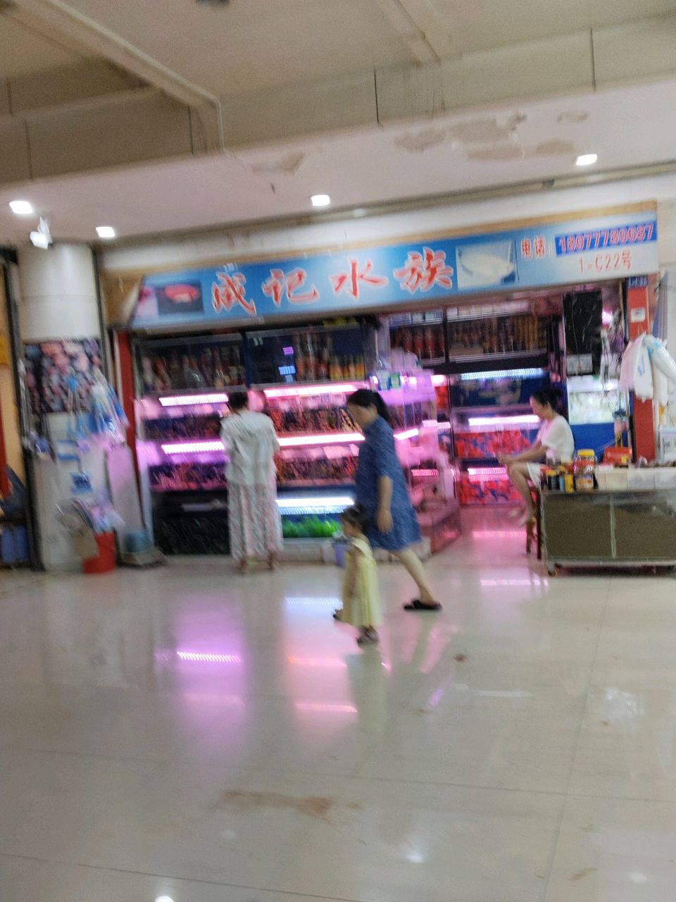 成记水族(富城店)