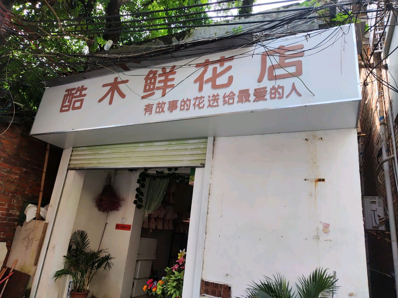 酷木鲜花店
