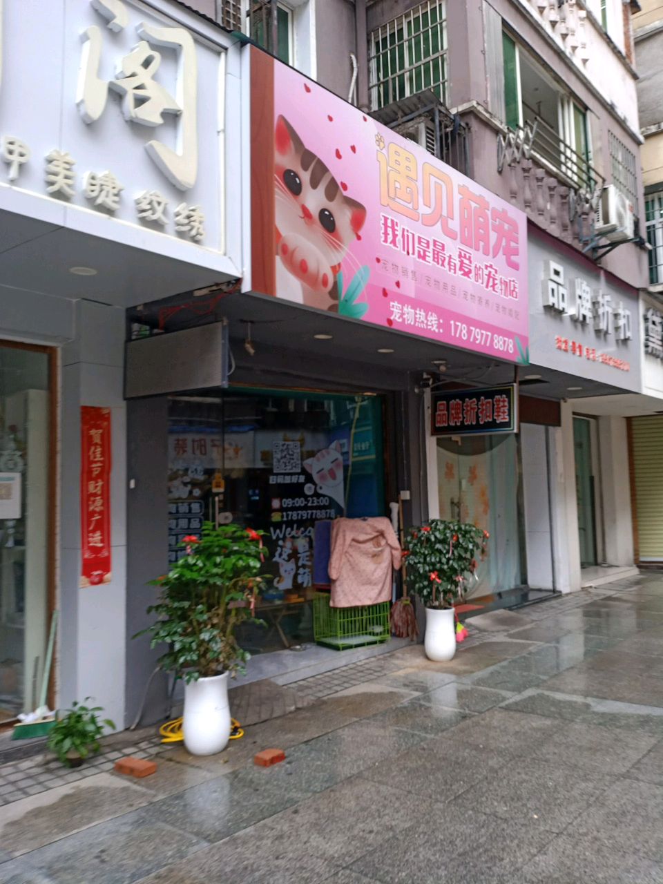 遇见萌宠