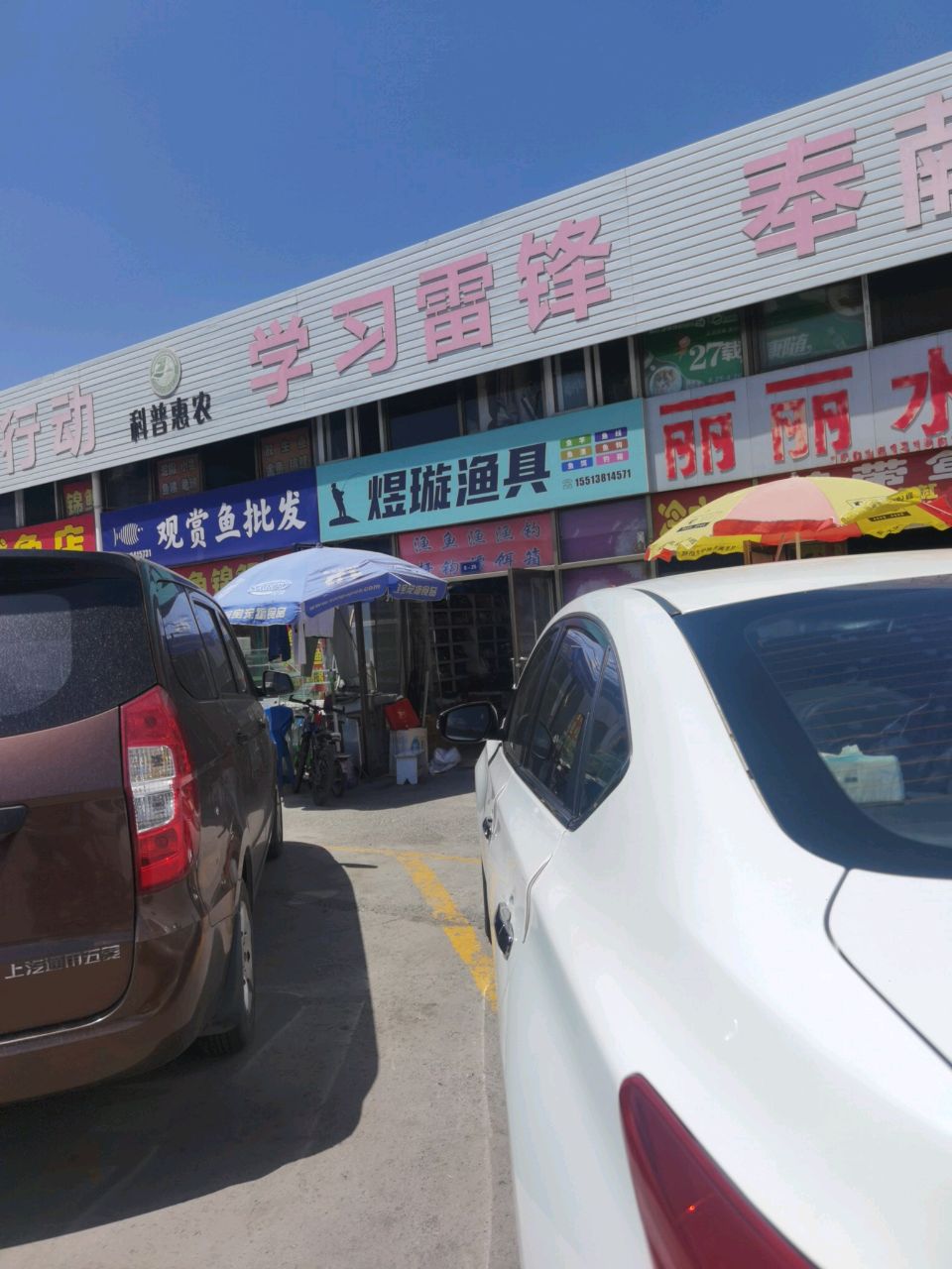 观赏鱼批发