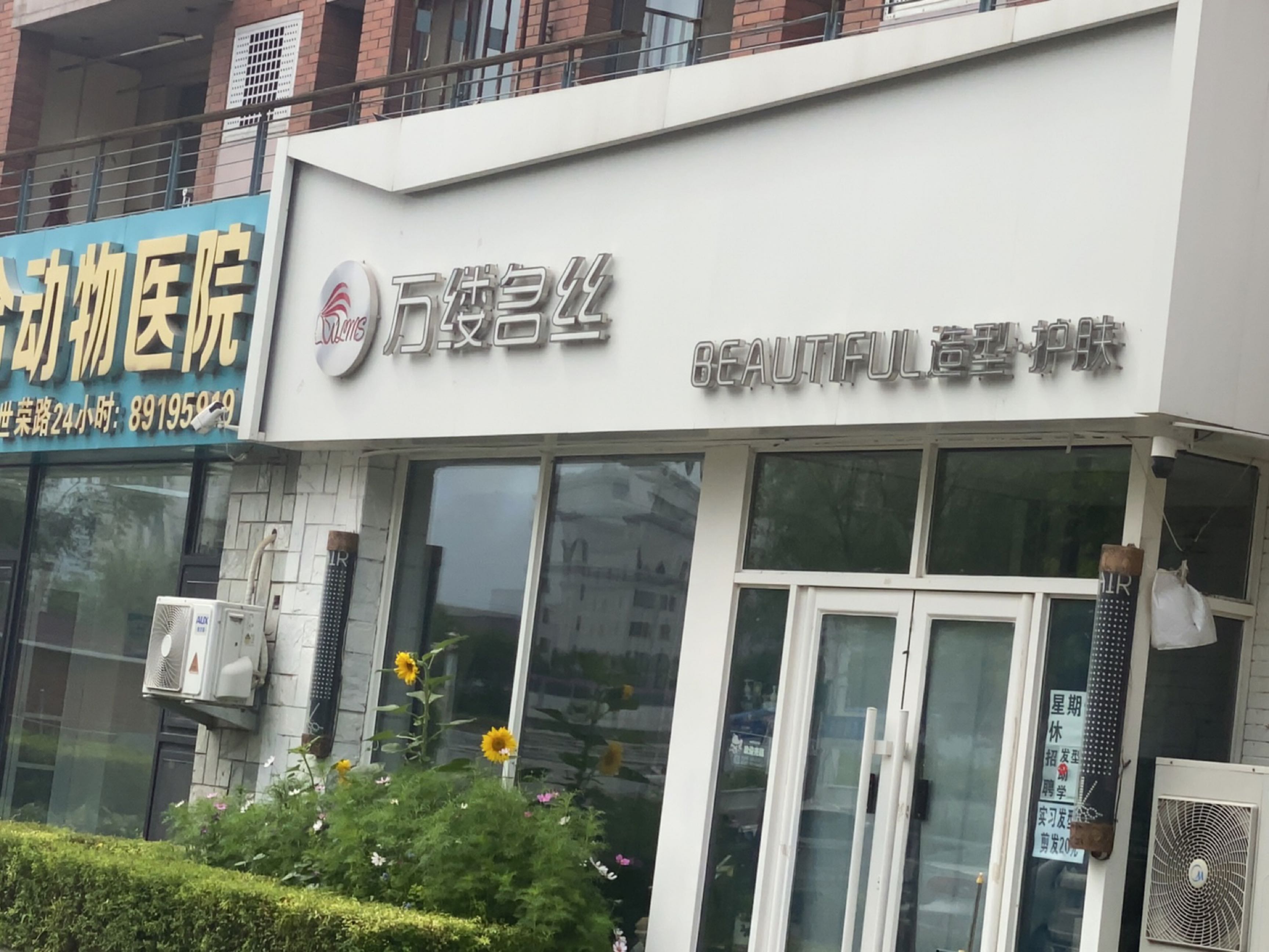 万缕名丝