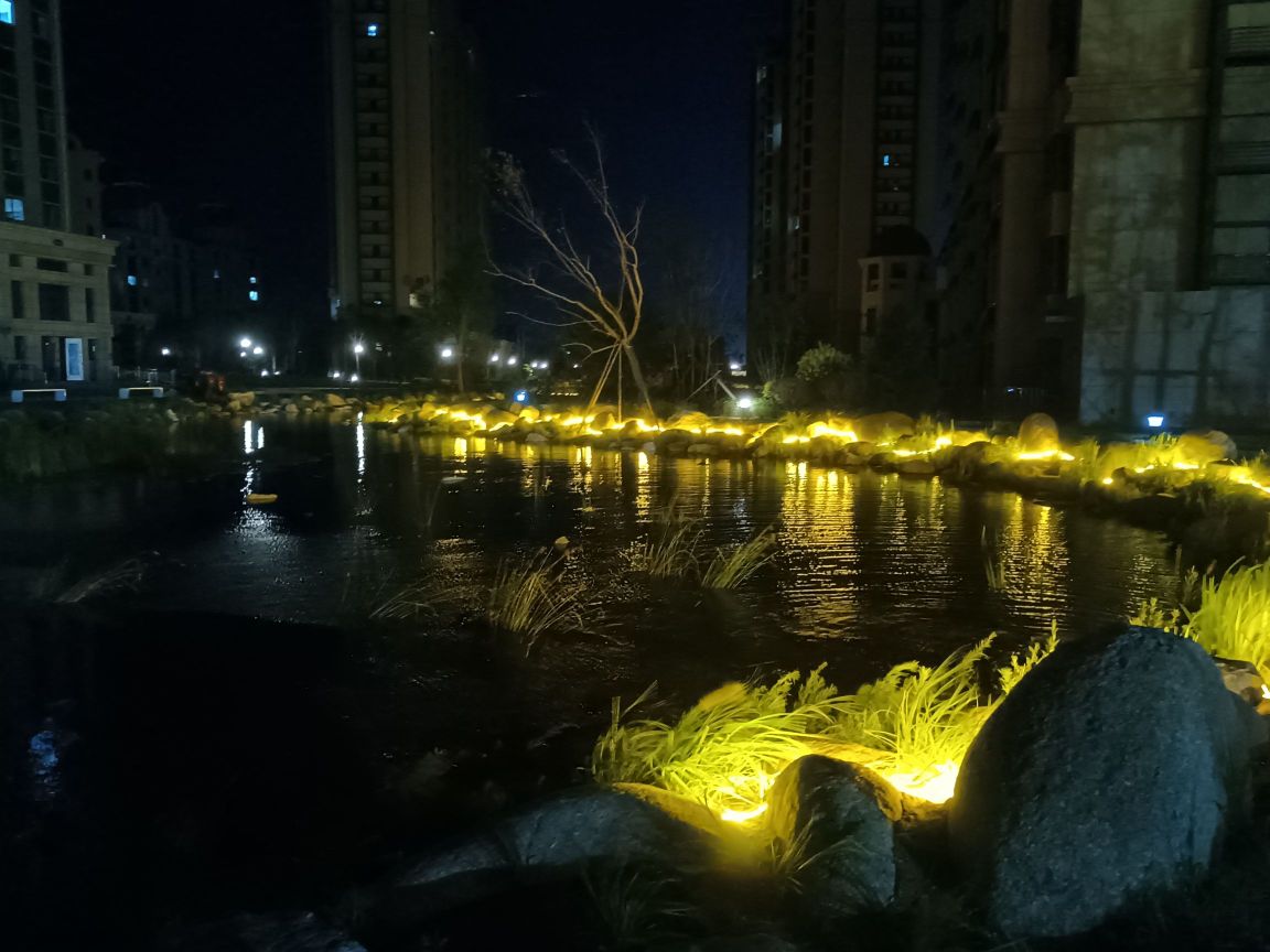 天保雪绒花都